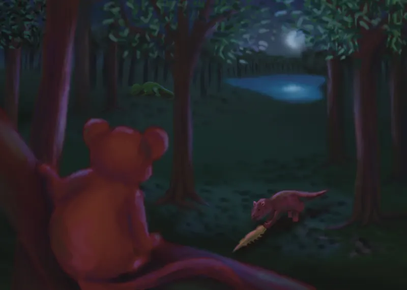 Evolution — koala moonlight