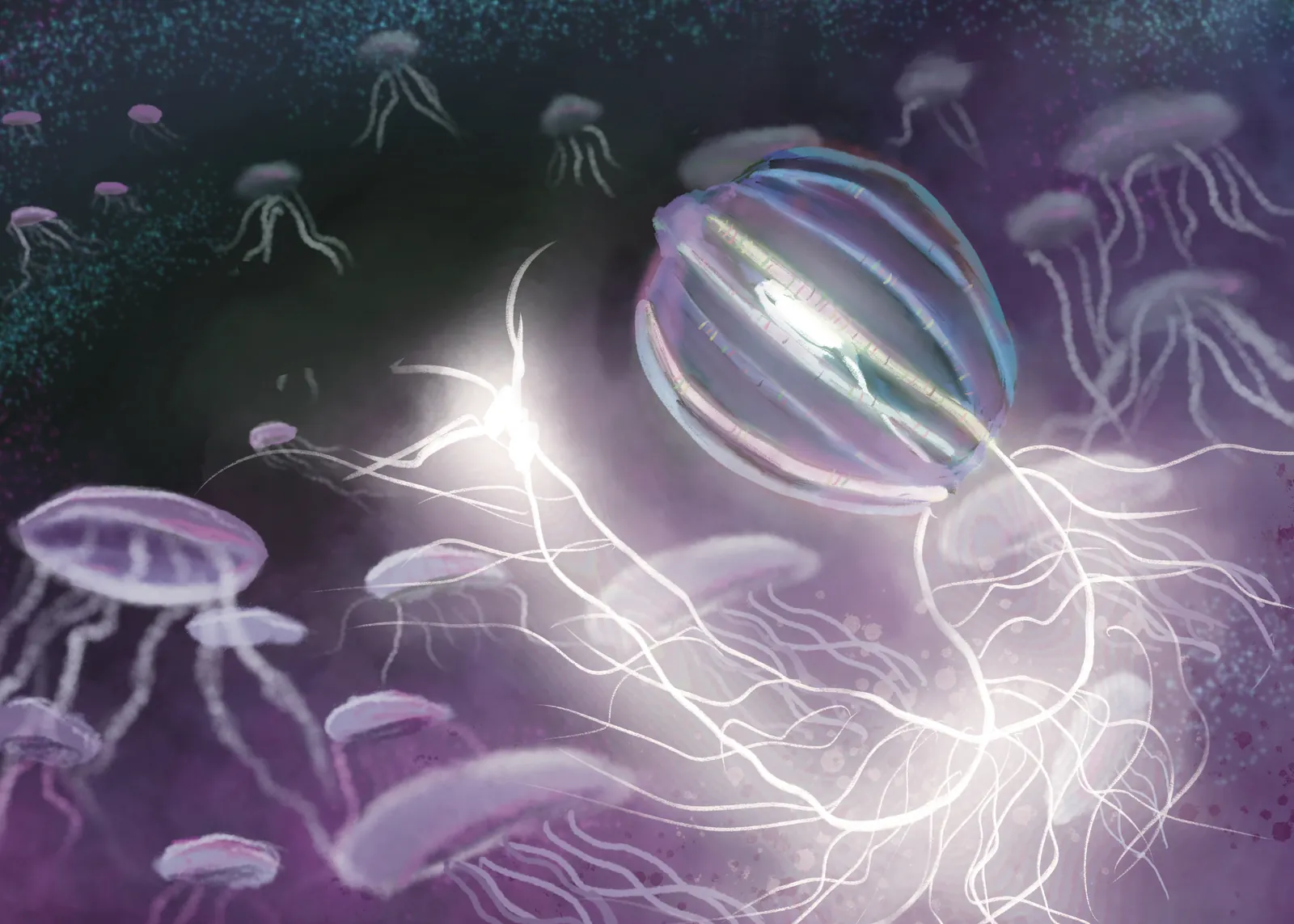 Comb Jellies — The First Predators — a hand-painted spread from The Story Of Evolution Of Life