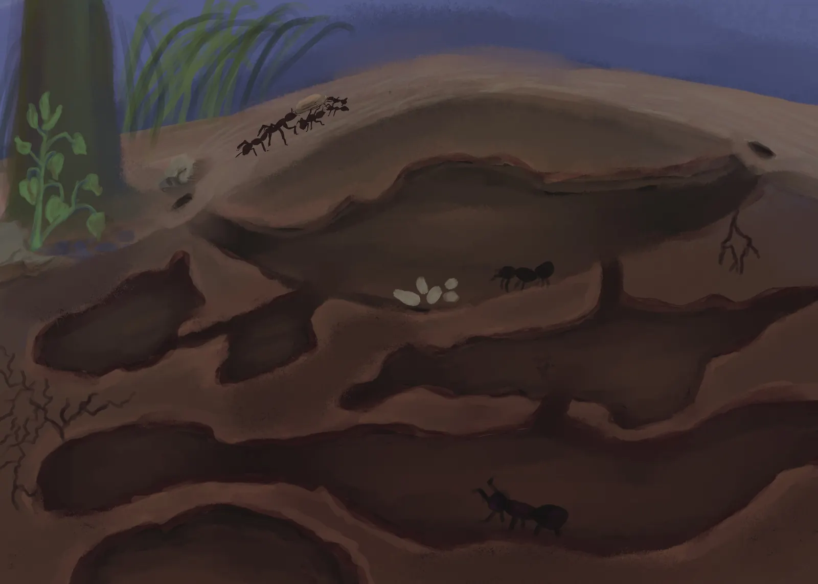 A cutaway of an ant nest — tunnels and chambers under the soil, with ants and a clutch of eggs, from The Story Of Evolution Of Life picture book